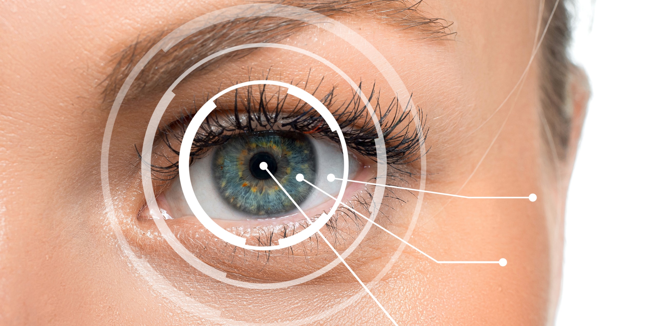 Parts of the Eye Illustration of eye anatomy, including the pupil, iris, lens, cornea, optic nerve, and fovea centralis.