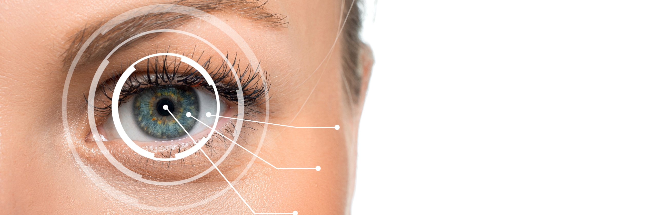 Parts Of The Human Eye Explained | ContactsDirect®